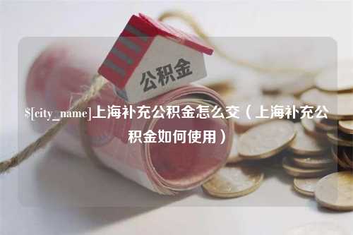 新沂上海补充公积金怎么交（上海补充公积金如何使用）